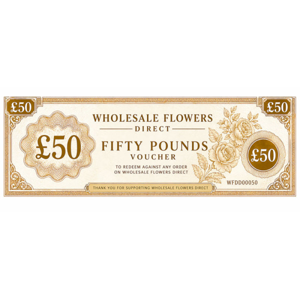 Gift Voucher £50