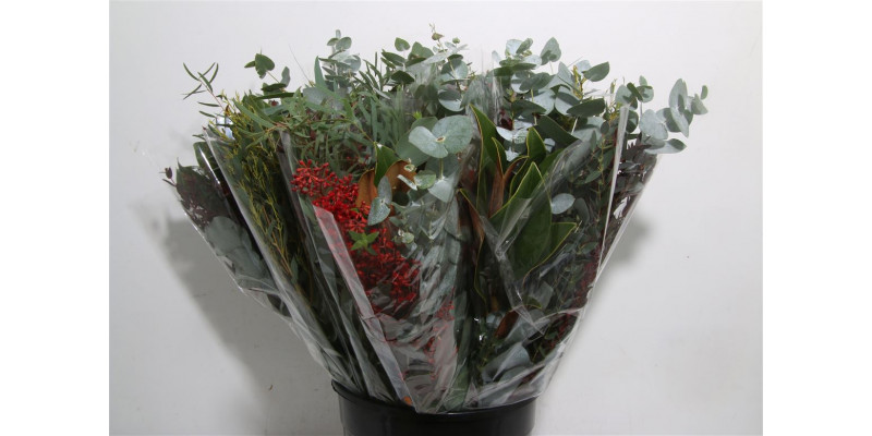 Eucalyptus Mix Long 300gr 70cm 