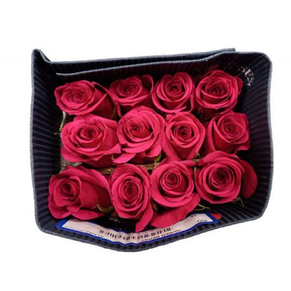 Rose Gr Eq Queenberry Bella 60cm A1 (Valentine Pre Order)