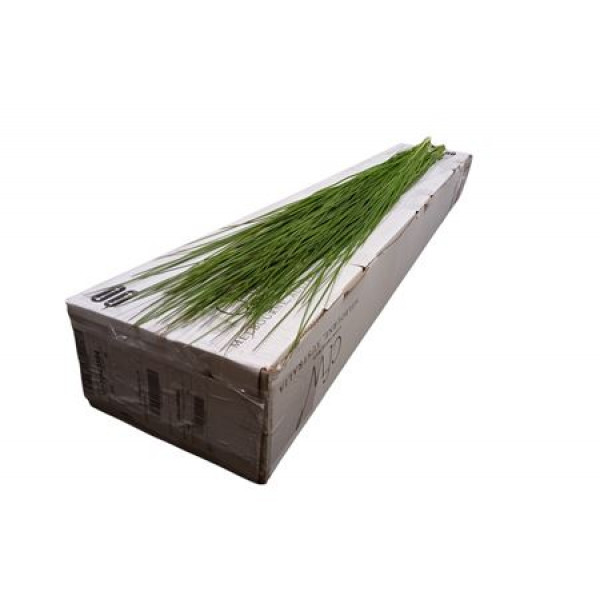 Steelgrass X20 70cm A1