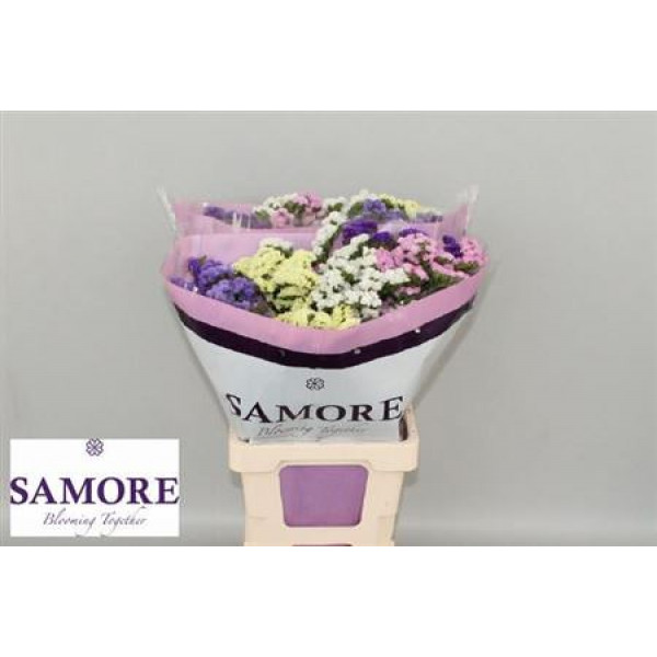 Limonium S Gemengd 70cm A1 Col-Mixed