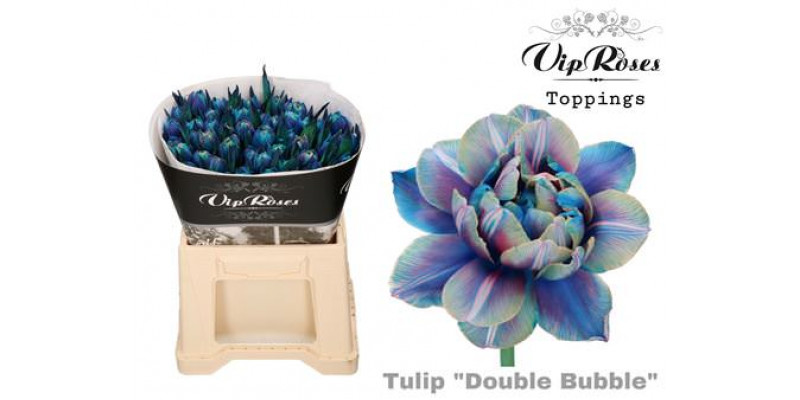 Tulips Du Double Bubble 38cm A1 Col-Peach