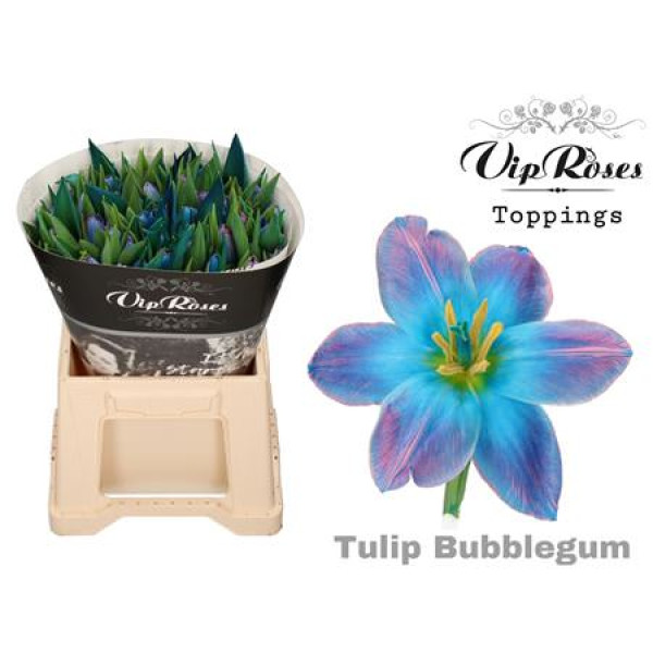 Tulips En Bubblegum 40 cm A1