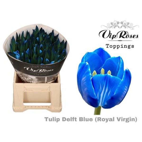 Tulips En Rv Delft Blue 38 cm A1