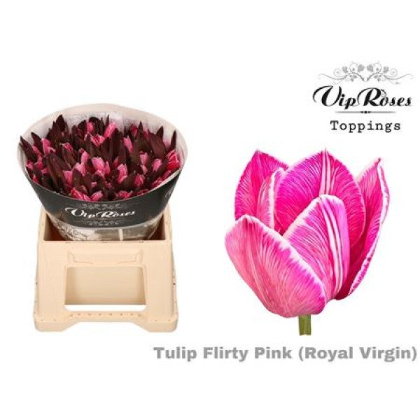 Tulips En Rv Flirty Pink 38 cm A1