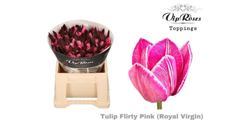 Tulips En Rv Flirty Pink 38 cm A1