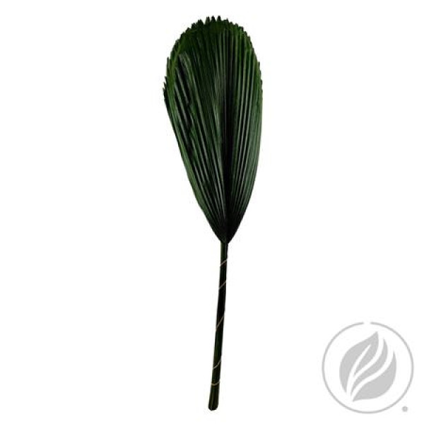 Liquala 70cm 70 cm A1