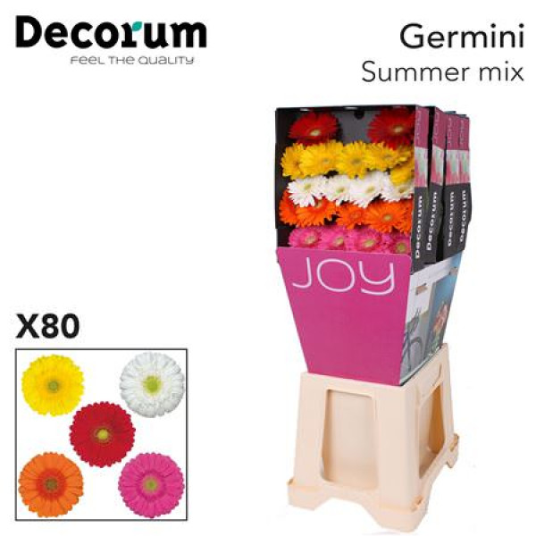 Germini Mix Summer Diamond 47cm A1