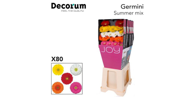 Germini Mix Summer Diamond 47cm A1