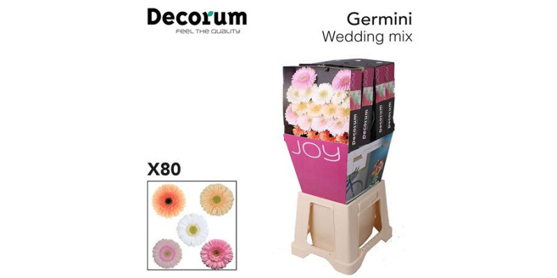 Germini Mix Wedding Diamond 47cm A1