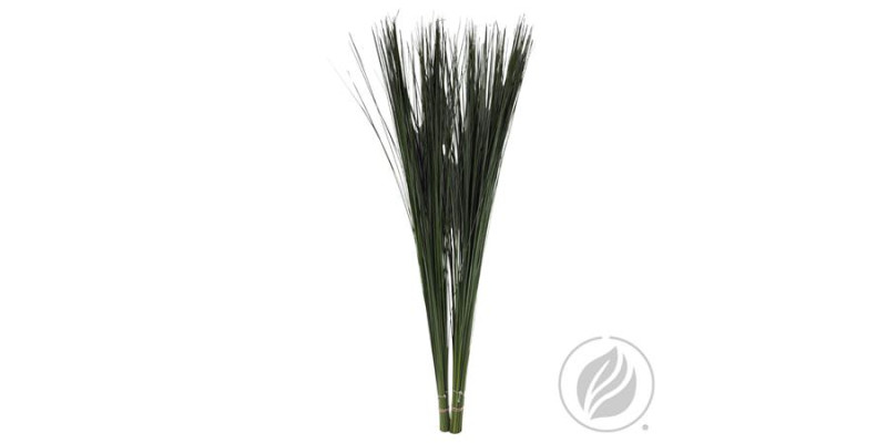 Steelgrass X20 115 cm A1