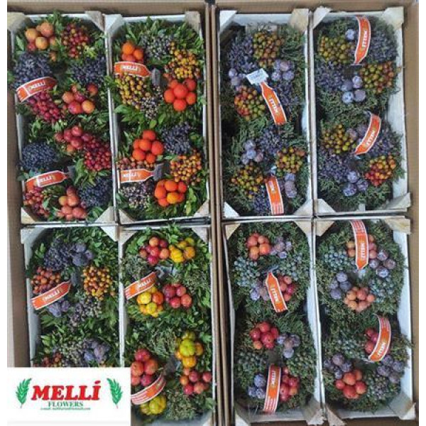 Sierfruit Krans  0cm A1