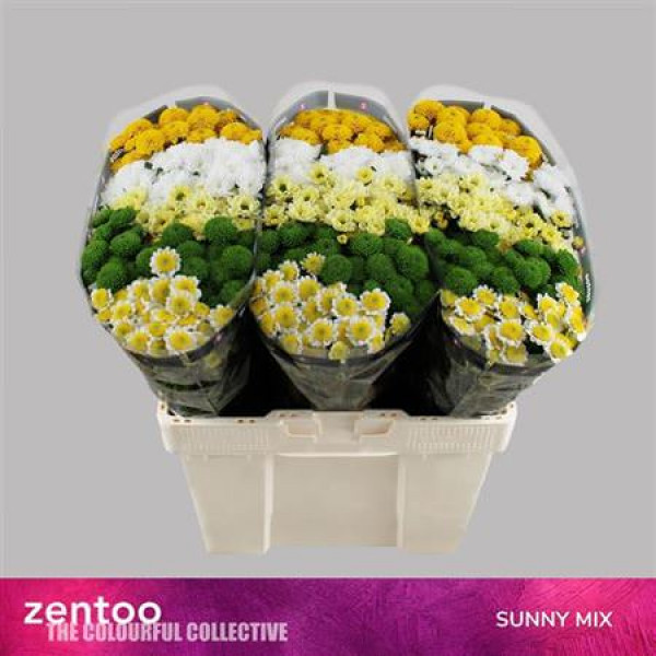 Chr S Gem Sunny Mix 55cm A1 Col-Mixed