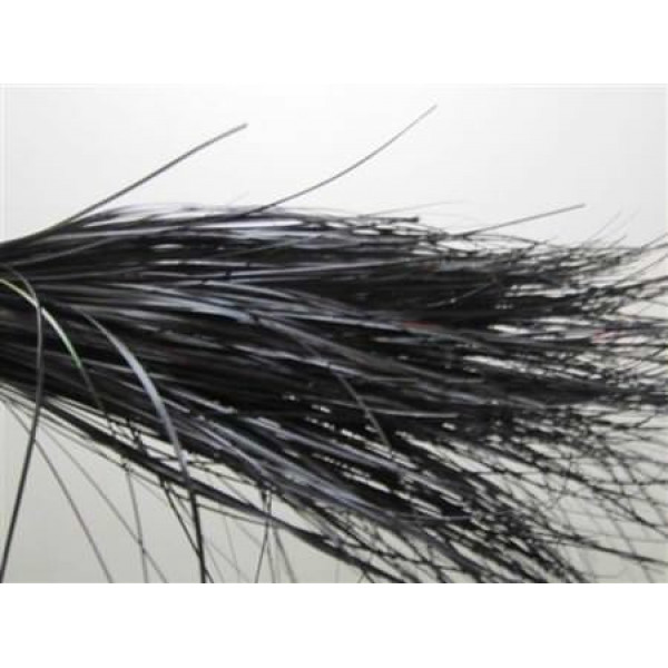 Bear Grass Black  A1