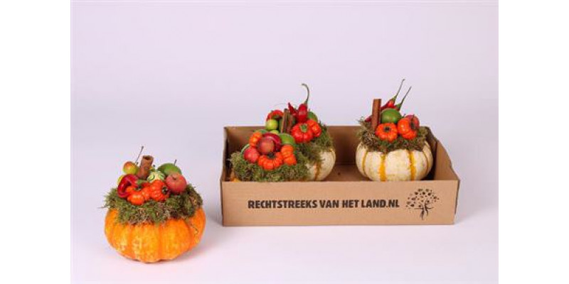 Cucurbita Speciaal  A1