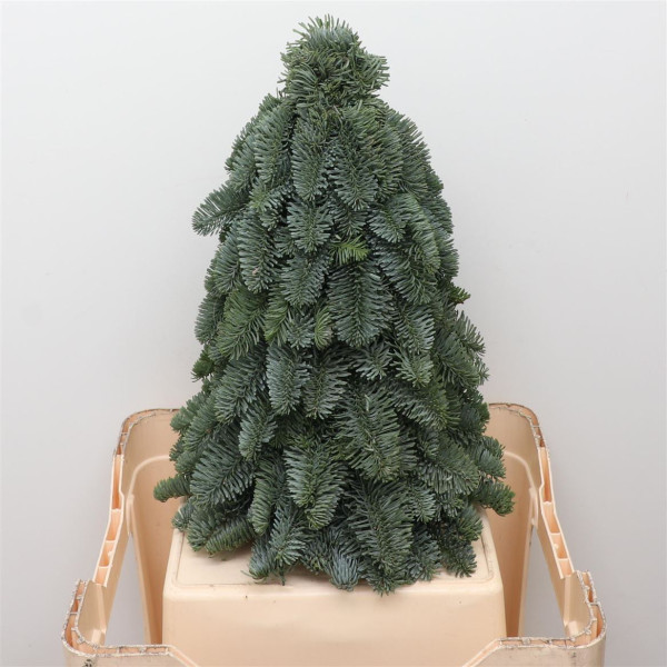 Nobilis Kerstboom Classic 40 Cm 40cm 