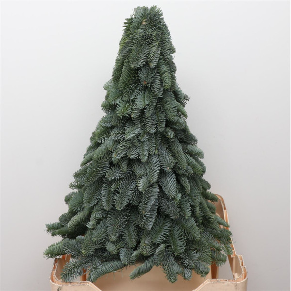 Nobilis Kerstboom Classic 50 Cm 50cm 