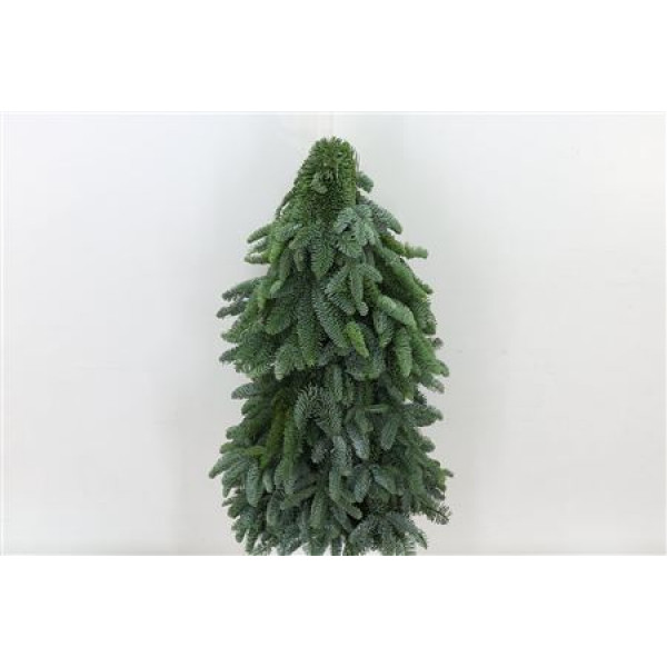 Nobilis Kerstboom Sneeuw  60cm A1