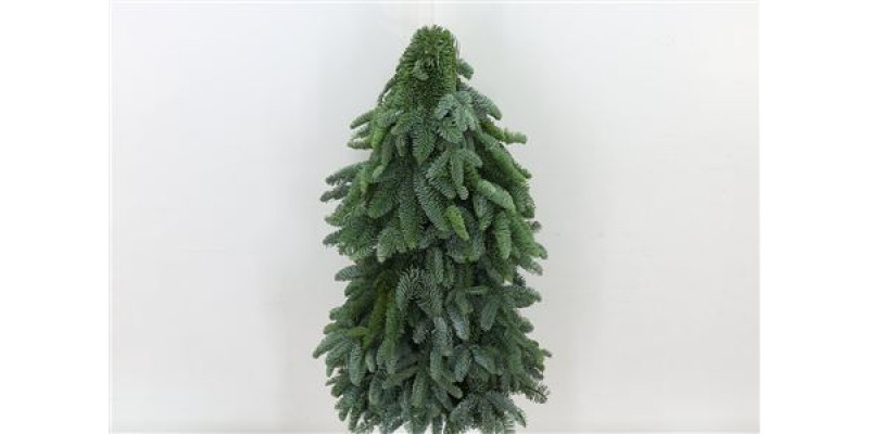 Nobilis Kerstboom Sneeuw  60cm A1