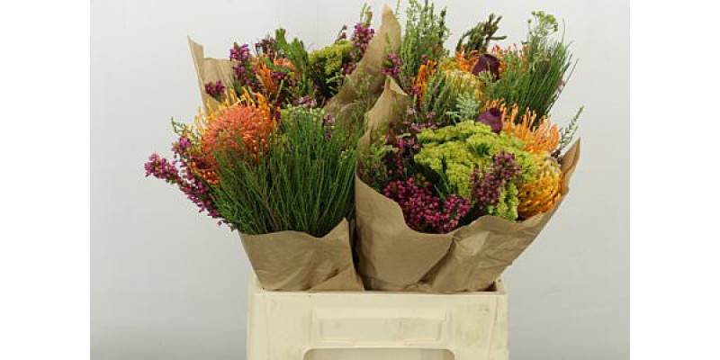 Kaaps Groe Gem In Bs 40cm A1