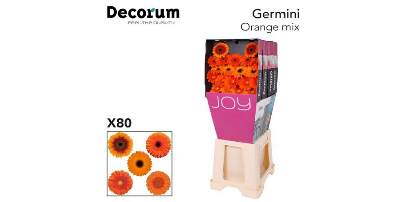 Germini Mix Oran Gem Diamond 47cm A1