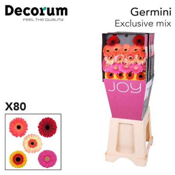 Germini Mix Exclusive Diamond 47cm A1