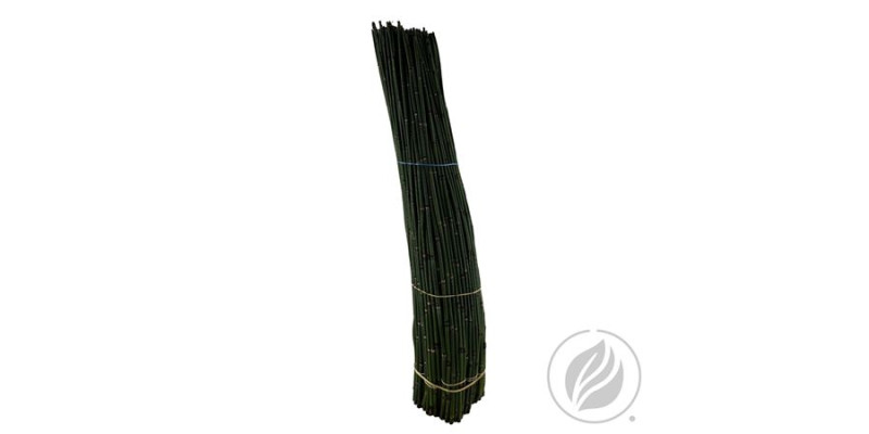 Bamboe (snake Grass) 75 cm 