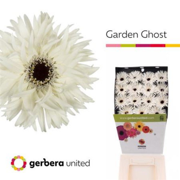 Ge Gs Garden Ghost 50cm A1