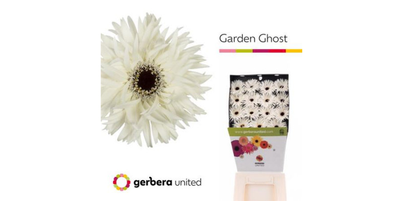 Ge Gs Garden Ghost 50cm A1