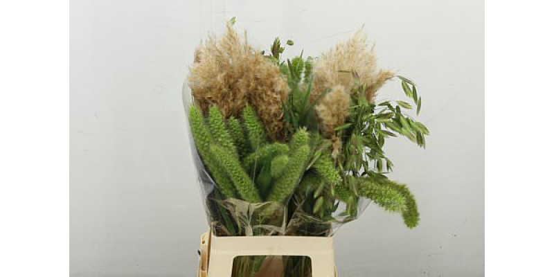 Siergr Siergras Mix 70 cm 