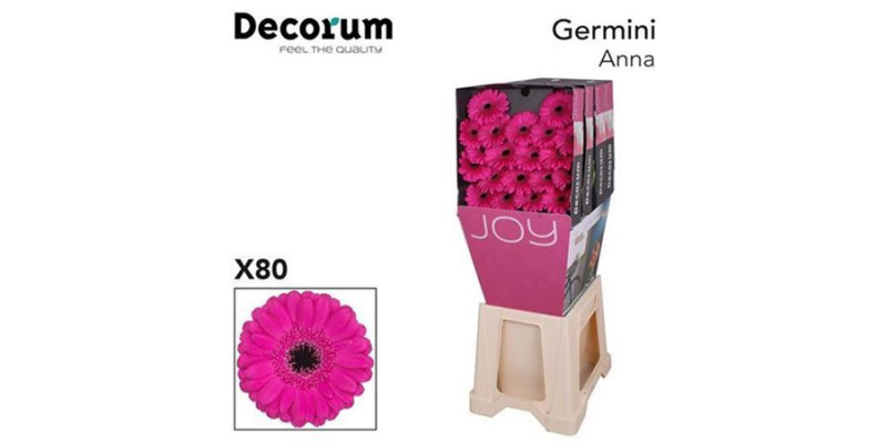 Germini Anna Diamond 47cm A1