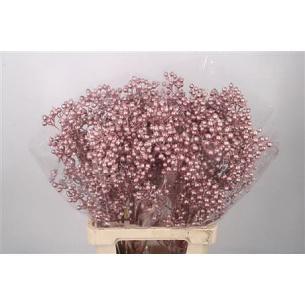 Rosa Klb Metallic Pink Spray Ex 70cm 0