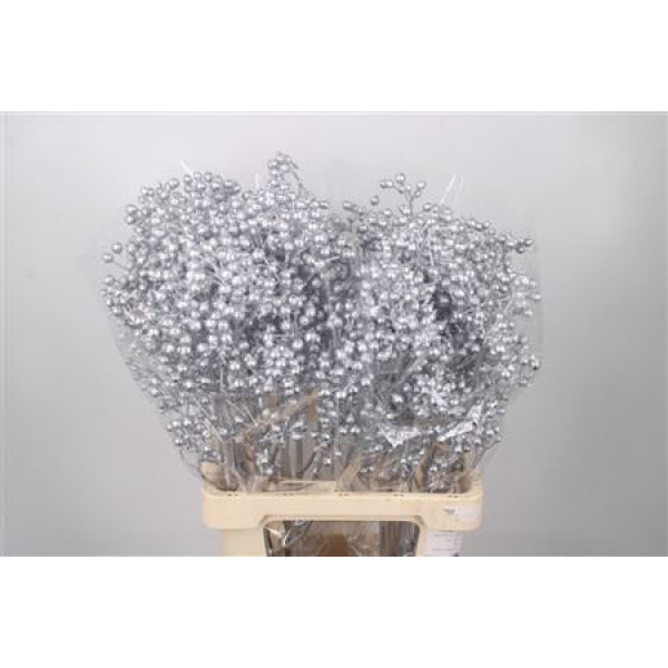 Rosa Klb Silver Spray Ex 70cm 0