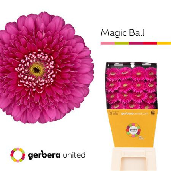 Ge Gb Magic Ball Diamond 50cm A1