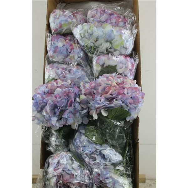 Hydr. M Box Kashmir 60-20 60 cm 