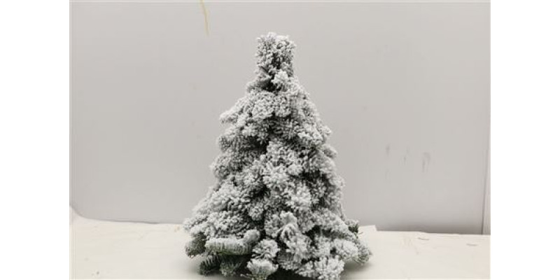 Nobilis Boom Rond Sneeuw 40cm 40cm A1