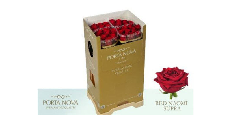 Rose Gr Red Naomi Supra 70cm  Col-Red